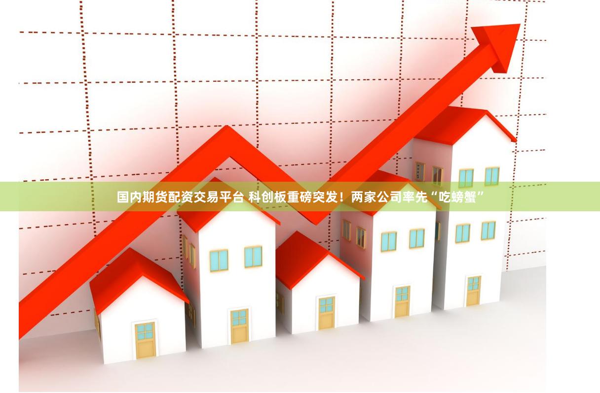 国内期货配资交易平台 科创板重磅突发！两家公司率先“吃螃蟹”