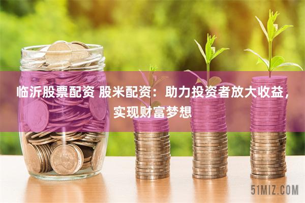 临沂股票配资 股米配资：助力投资者放大收益，实现财富梦想