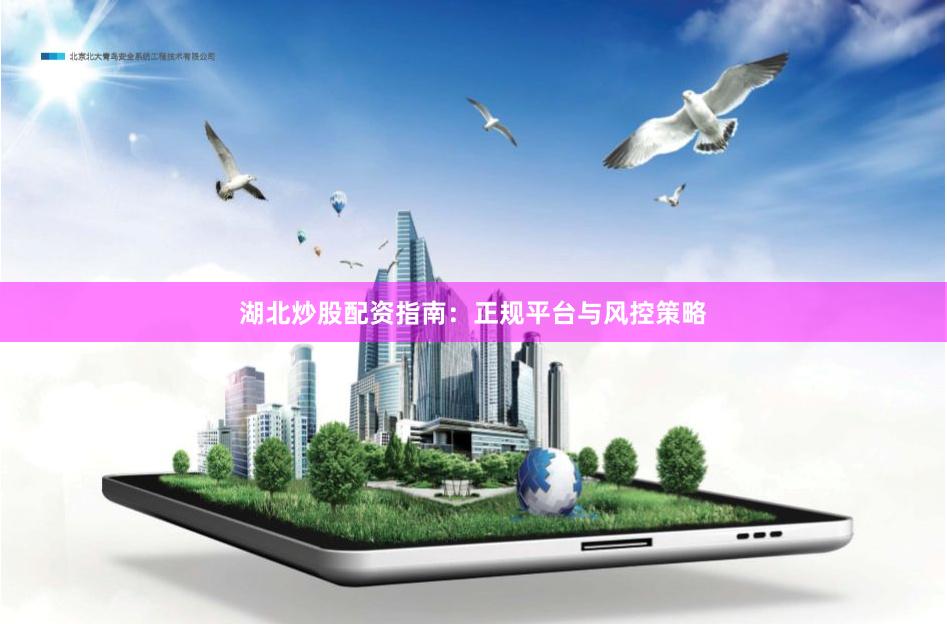 湖北炒股配资指南：正规平台与风控策略